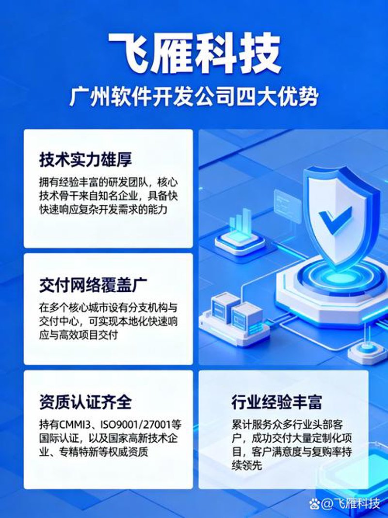 软件开发